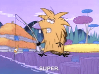 nickrewind nicksplat angry beavers GIF