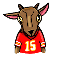 Super Bowl Football Sticker by NFL