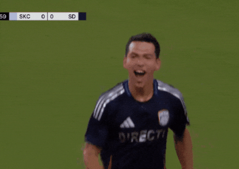 Vamos Lets Go GIF by Major League Soccer