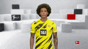 Posing Line Up GIF by Bundesliga