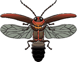firefly STICKER