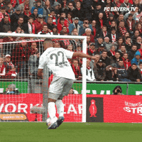 Champions League Football GIF by FC Bayern Munich