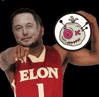 voodootoken meme crypto cryptocurrency coin GIF