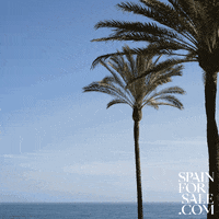 Hello Friends GIF by Spain For Sale