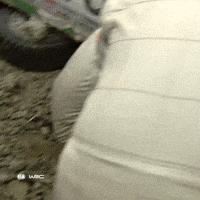 Game Over Rally Car GIF by FIA World Rally Championship