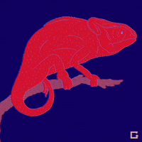 Panther Chameleon GIF by gifnews