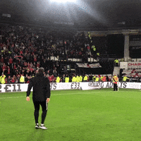 BristolCity football celebrate bounce bouncing GIF