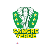 Baseball Republicadominicana Sticker by Television Dominicana