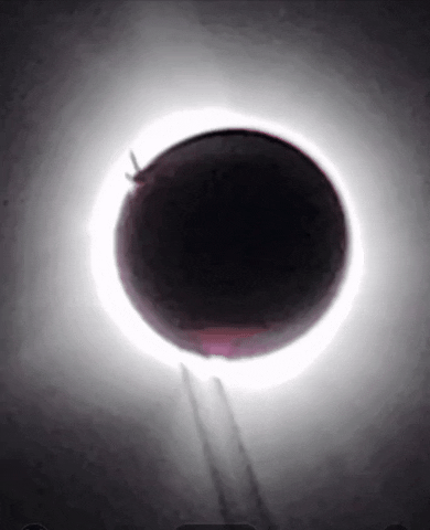 taucow06  GIF