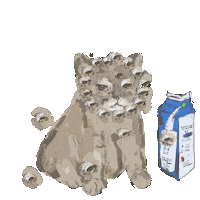 Cat Sticker