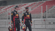 ver formula 1 GIF by Red Bull Racing
