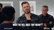 Chicago Pd Nbc GIF by One Chicago