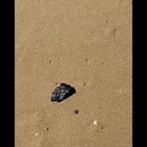 Lumps of Black Oil Wash Ashore on California's Newport Beach