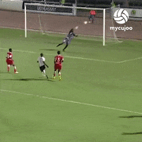 Meme Disappointment GIF by ELEVEN SPORTS