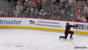 Happy Carolina Hurricanes GIF by NHL