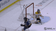 celebrate ice hockey GIF by NHL
