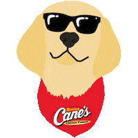 Dog Sunglasses Sticker by Raising Cane's