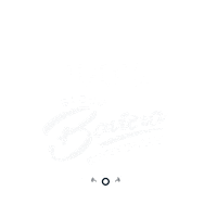 Agencia_Studio_Alpha fiesta carnaval 100 carnival Sticker