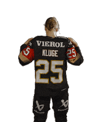 Ice Hockey Sticker by deb_teams