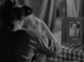 classic film oshaughnessys boy GIF by Warner Archive