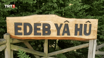 Respect What GIF by TRT