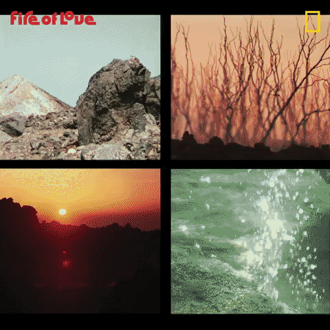 asyaakdogan giphyupload GIF