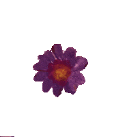 obusclothing obus obus loves small wonders Sticker