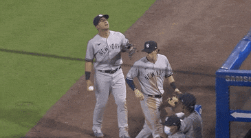 New York Yankees Baseball GIF by Jomboy Media