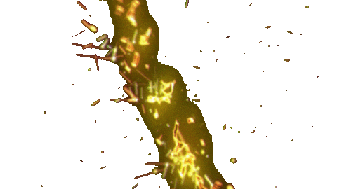 Food Burger Sticker by Resto-Rātors