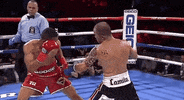 toprank fight boxing fighting espn GIF