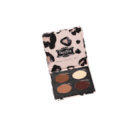 thefuschiaeffect eyeshadowpalette fuschiamakeup thefuschiaeffect fuschiaeyes Sticker