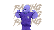 Futbol Bocadelrio Sticker by Racing de Veracruz