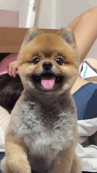 Leo Coda GIF
