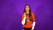 Clemsonvb Championshipbehavior GIF by Clemson Tigers