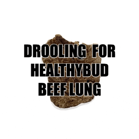 healthybudco giphygifmaker dog treats healthybud beef lung GIF