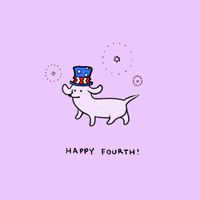 Independence Day Party GIF by Stefanie Shank