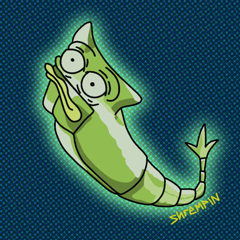 GIF by shremps