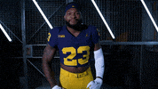Go Blue Ncaa Football GIF by Michigan Athletics