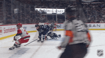 Happy Carolina Hurricanes GIF by NHL