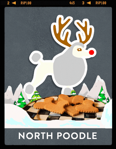GIF by League of Crafty Canines