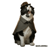 Sherlock Holmes Cat Sticker