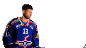 Sport Celebration Sticker by EHC Kloten
