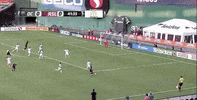 soccer mls GIF by D.C. United