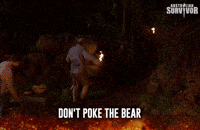survivorau bear survivor teddy roar GIF