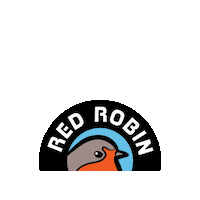 redrobinrecords coffee red robin redrobin redrobinrecords Sticker