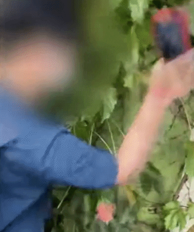 bongjunjeong giphyupload GIF