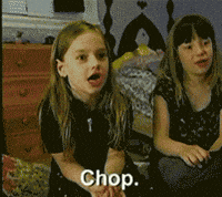 chop GIF