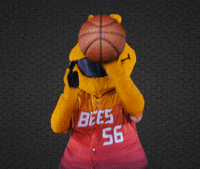 SaltLakeBees basketball nba baseball ball GIF