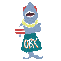 Outer Banks Obx Sticker by NETFLIX
