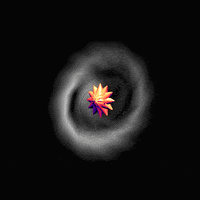 Dalpagiac art animation 3d trippy GIF
